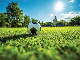 足球爱好者观赛场景